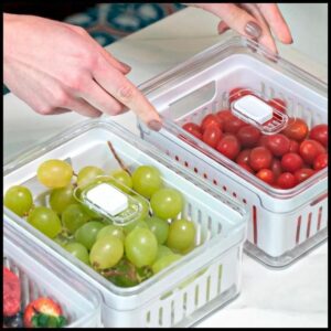 Organizadores de Geladeira de Acrílico com Tampa Drenagem 2,2 Litros