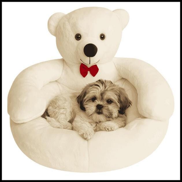 Caminha Pet Premium Cães e Gatos - Tamanho Pequeno Porte
