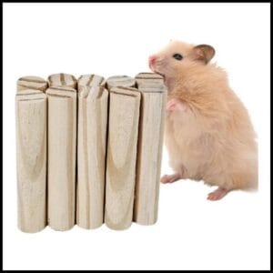 Palitos de madeira para roedores hamster coelhos chinchila ratos 10pcs