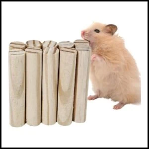 Palitos de madeira para roedores hamster coelhos chinchila ratos 10pcs