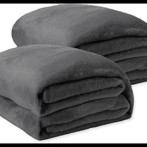 Kit 2 Cobertor Casal Soft Microfibra Toque Aveludado Antialérgico Coberta Dupla Face Confortável Ótima para o Dia Dia - 1,80m x 2,00m (2, Chumbo)