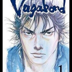 Vagabond Vol. 1