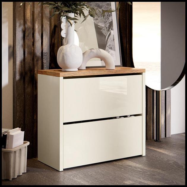 Sapateira Organizadora 2 Portas Basculante Hall De Entrada Recamier Retro Mel - Quality Móveis