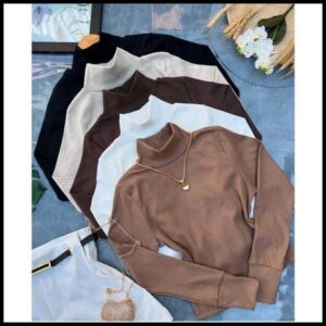 BLUSA CACHARREL FEMININA MANGA LONGA SEGUNDA PELE GOLA ALTA CANELADA RIBANA PREMIUM MODA INVERNO FRIO