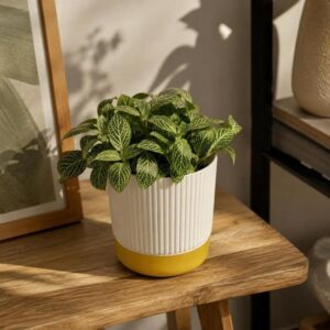 Vaso Cachepot Canelado Branco com Borda Dourada - Castela